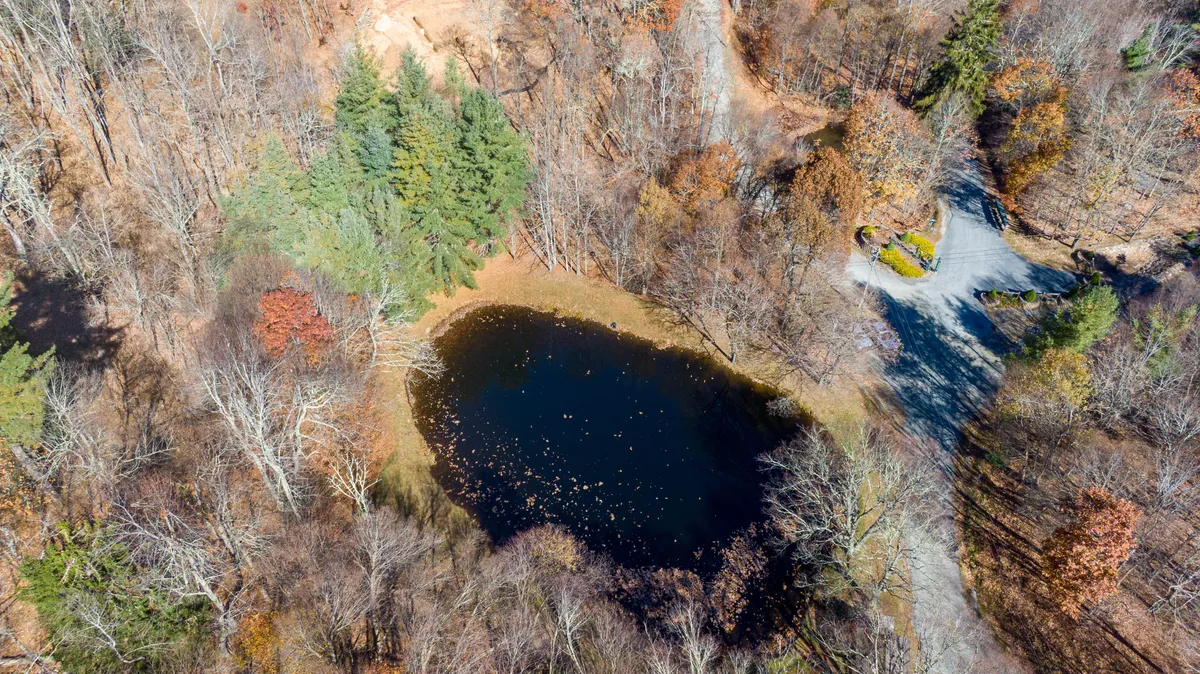 An outdoor pond surrounded by lush trees and an access road, evoking a sense of serenity. This area is ideal for picnicking, fishing, and wildlife watching, and represents the community park described in the section.